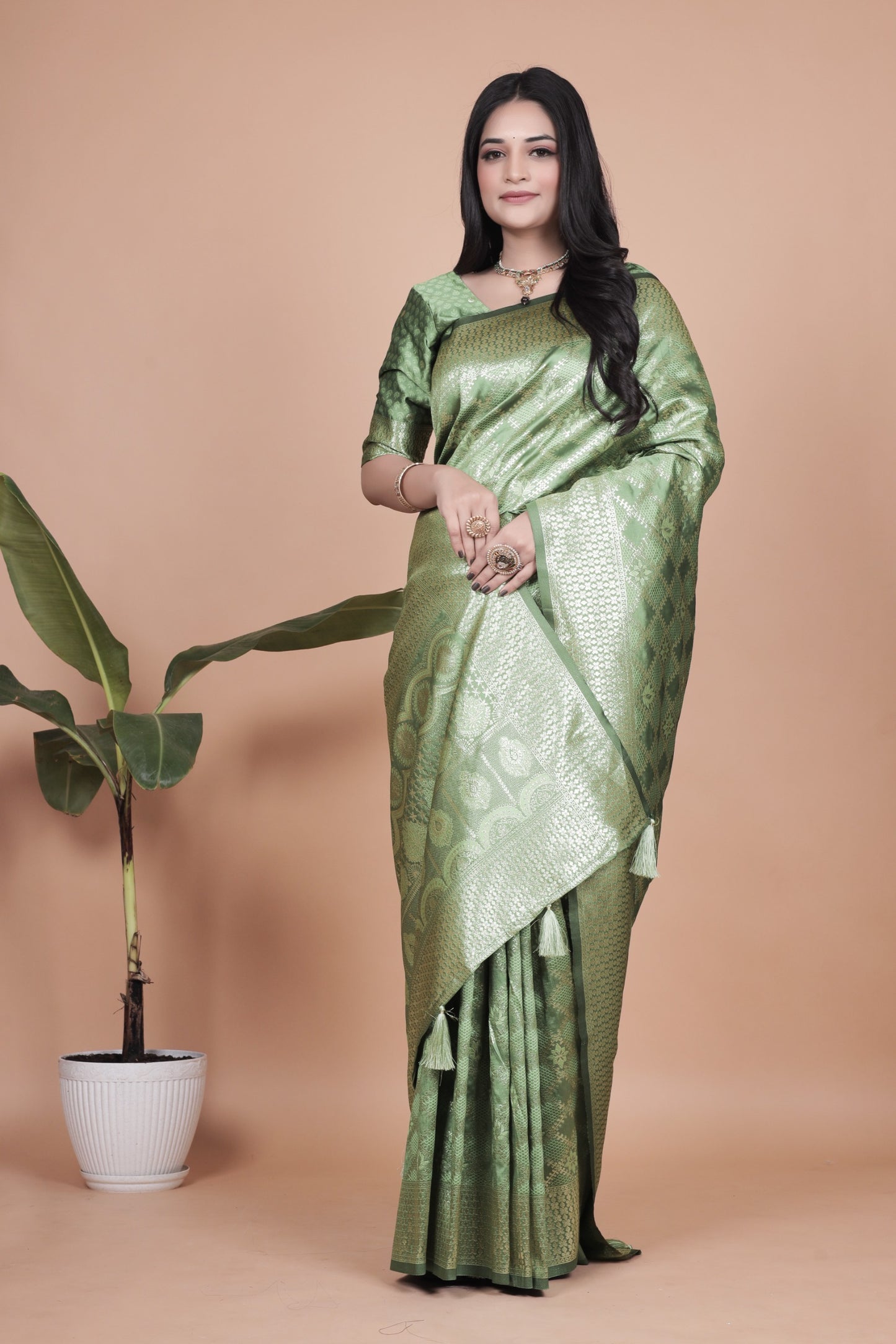 Name: Graceful Light Green Banarasi Silk Saree