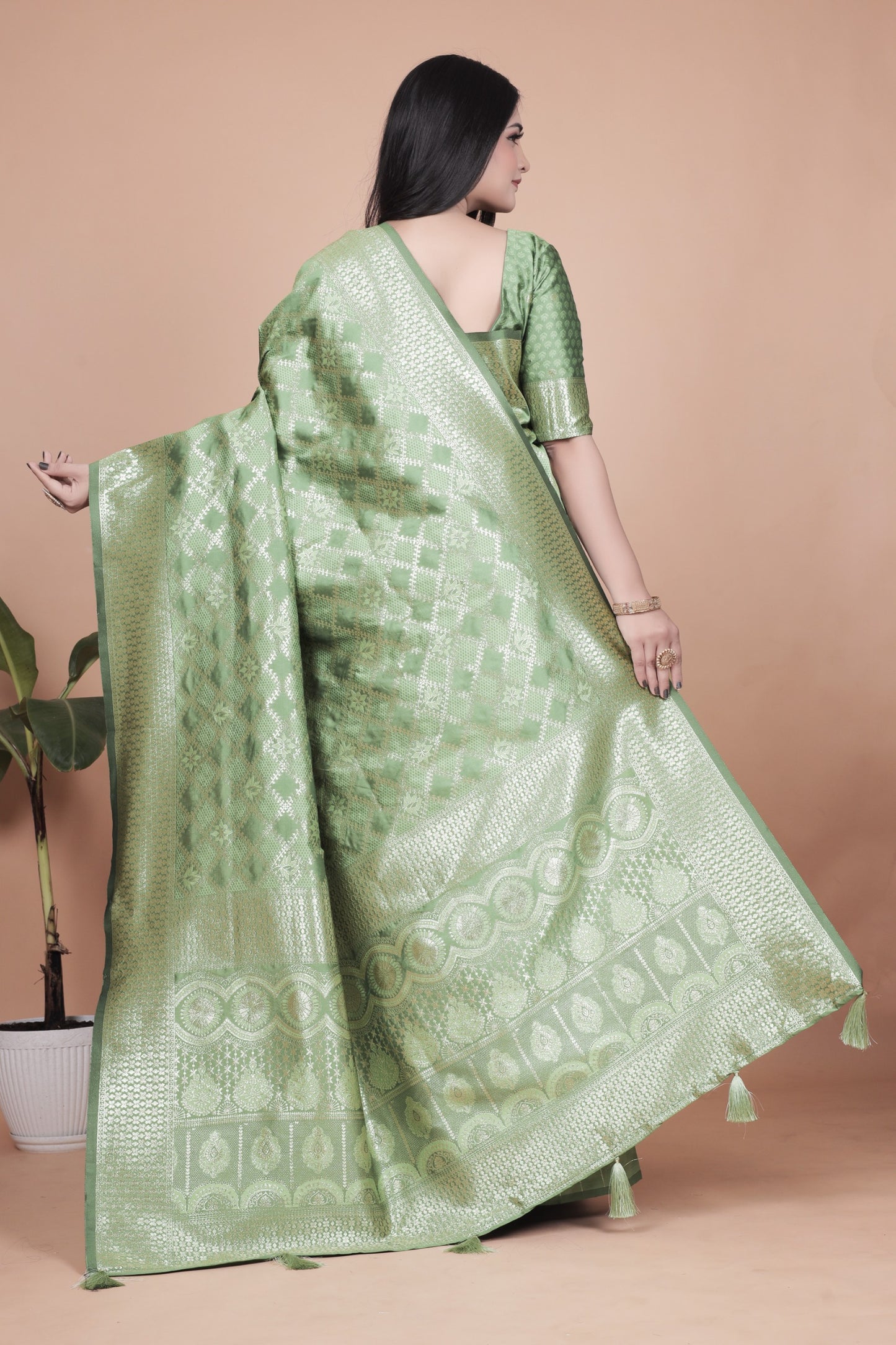 Name: Graceful Light Green Banarasi Silk Saree