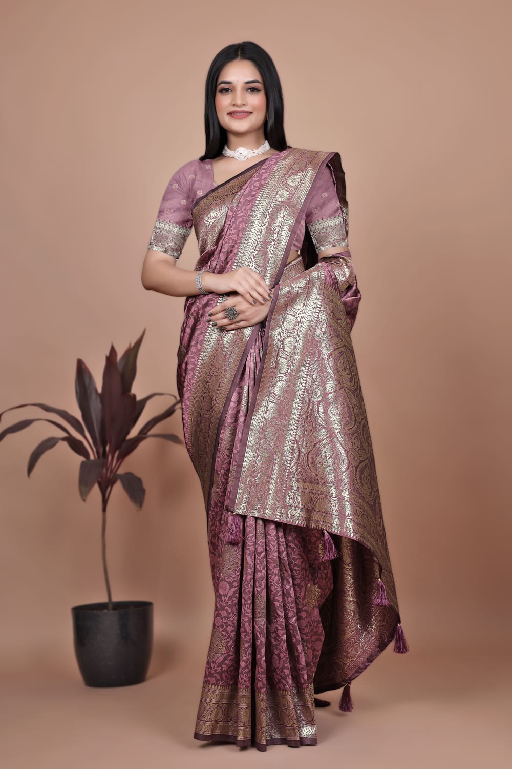 Banarasi Elegance, Premium Woven