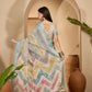 Earthy Abstract Digital Print Linen Cotton Saree